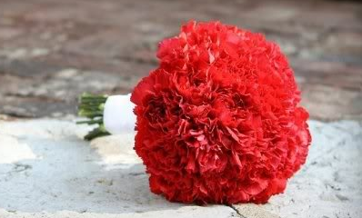 red-carnation-winter-wedding-bouquet