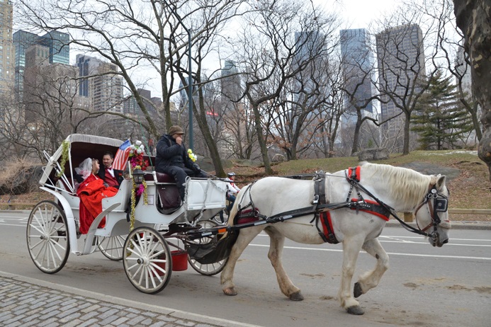 central-park-horse-carriage