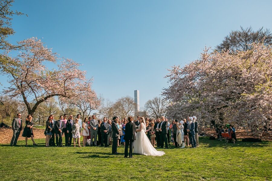 Spring wedding on Cherry Hill with cherry blossoms