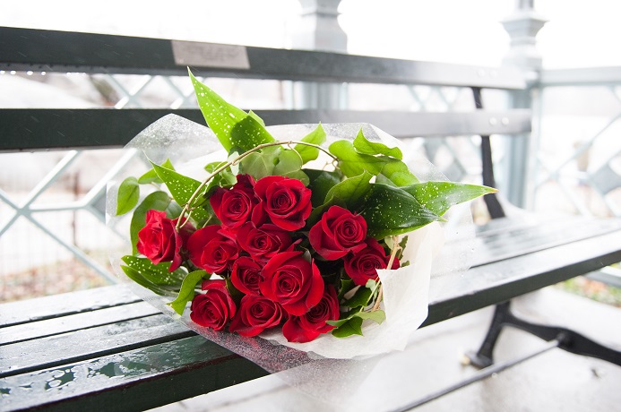 Bouquet of a dozen red roses on a bench at the Ladies Pavilion