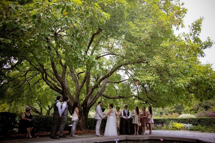 Wide shot of small wedding ceremony under large tree in South Garden