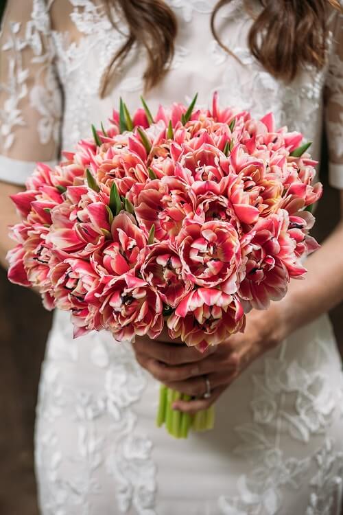 Bridal bouquet of hot pink with white accent double-flowered tulips